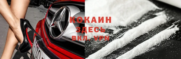 крисы Белокуриха