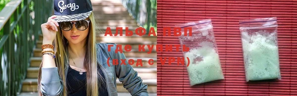 крисы Белокуриха