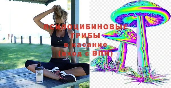 крисы Белокуриха