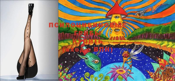 крисы Белокуриха