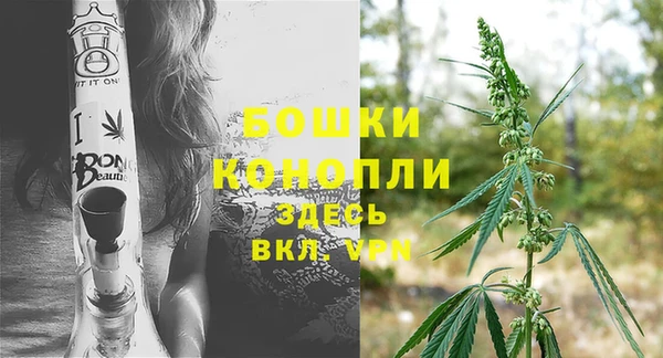 крисы Белокуриха