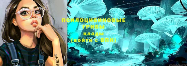 гашишное масло Беломорск