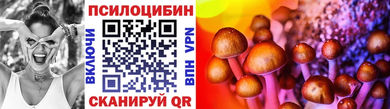 Псилоцибиновые грибы Magic Shrooms где купить MEGA ССЫЛКА Кировск